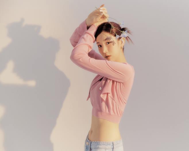 케이시 이미지
