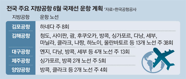 코타제주 이미지