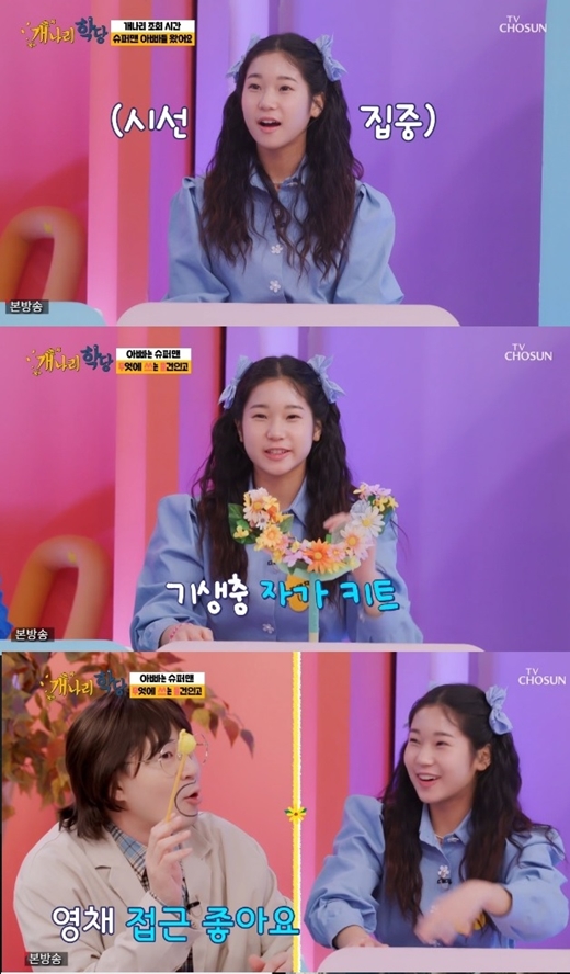 상상개나리 이미지
