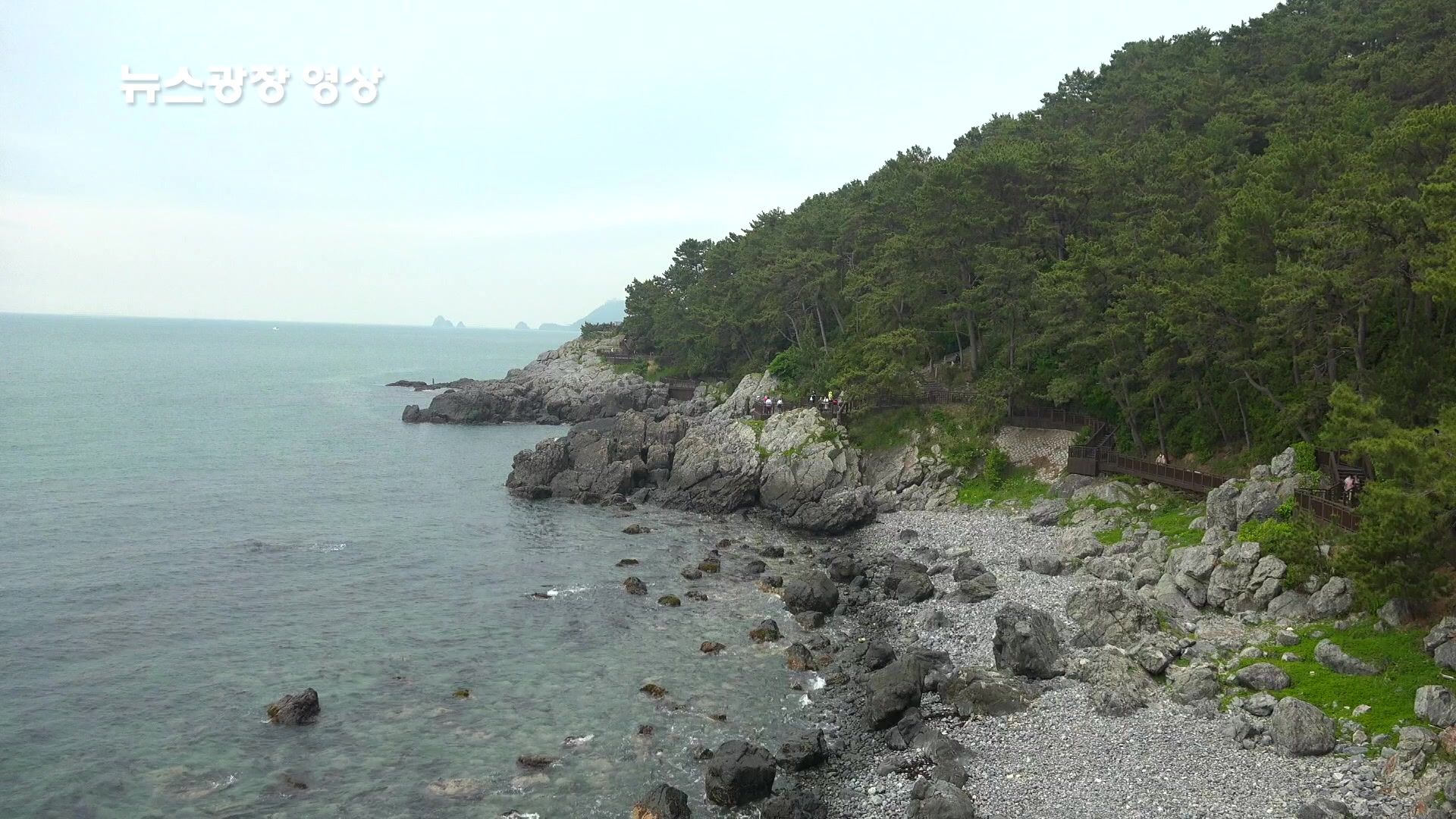 [뉴스광장 영상] 동백섬 - kakaoTV [뉴스광장 영상] 동백섬