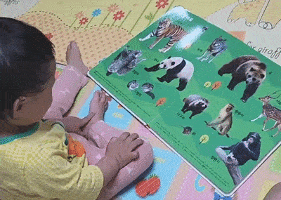 딸아이와 함께 책을 보며 동물이나 사람을 말하면 손가락으로 짚어내곤 합니다.