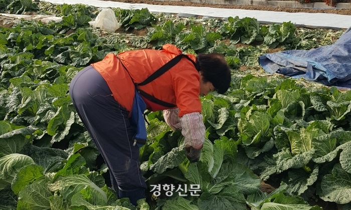 삿대질과아이들 이미지