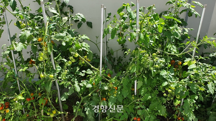 삿대질과아이들 이미지