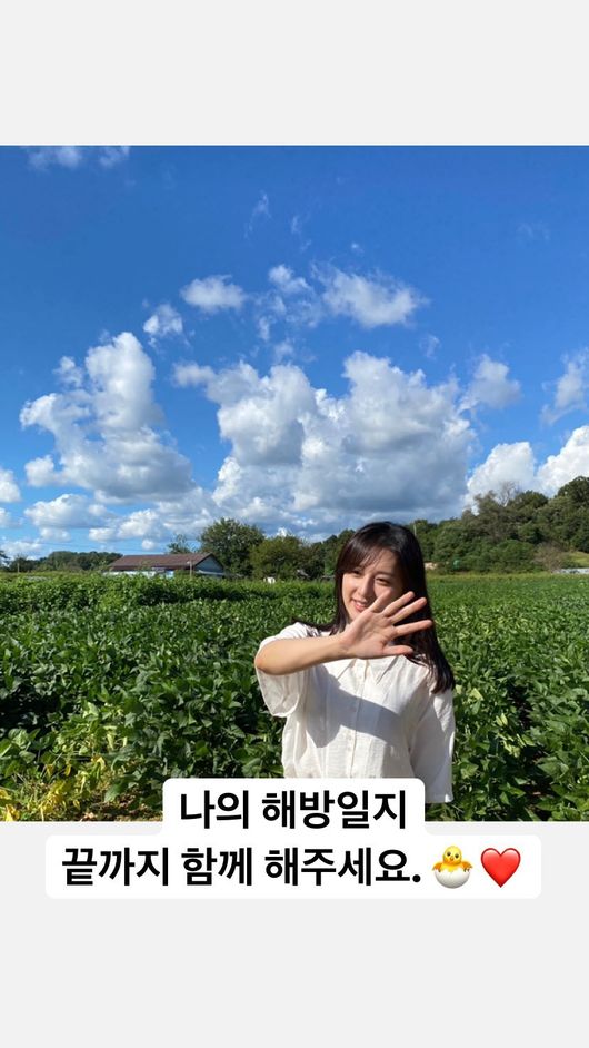 해방 이미지