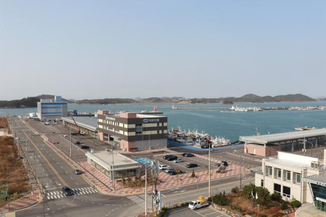 목포수산물 이미지
