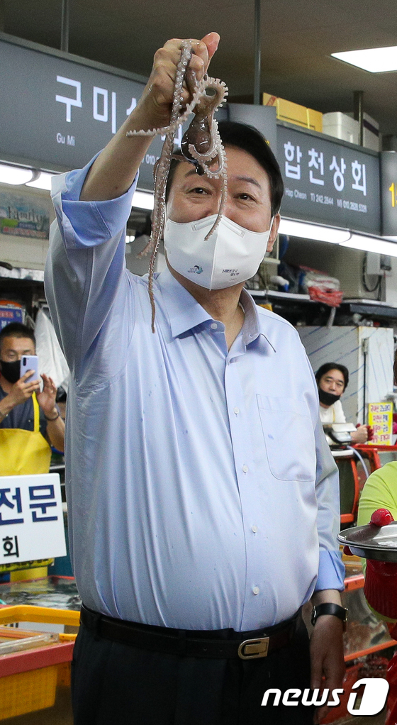낙지대통령 이미지