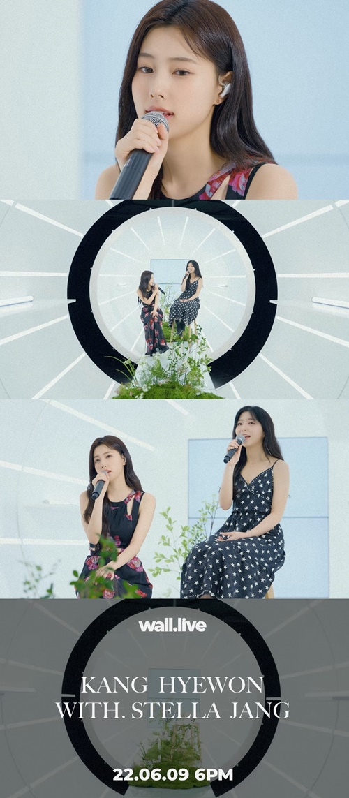 다이아몬드장 이미지