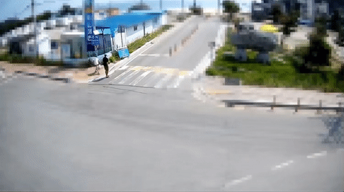 30일 뉴스1에 따르면 지난 19일 강원도로 신혼여행을 떠난 부부가 반려견과 산책하던 중 갑자기 나타난 대형견에게 물려 다치는 사고가 벌어졌다. 영상은 지난 19일 강원 양양군으로 신혼여행을 간 제보자 성모씨 일행이 산책 중 보더콜리 종의 개에게 물리는 사고를 당한 상황. /영상=뉴스1