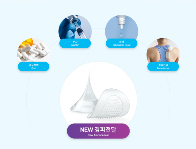 라파스 이미지