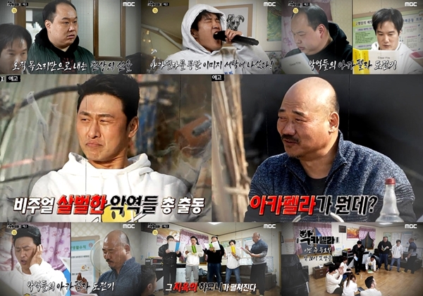 펠라 이미지