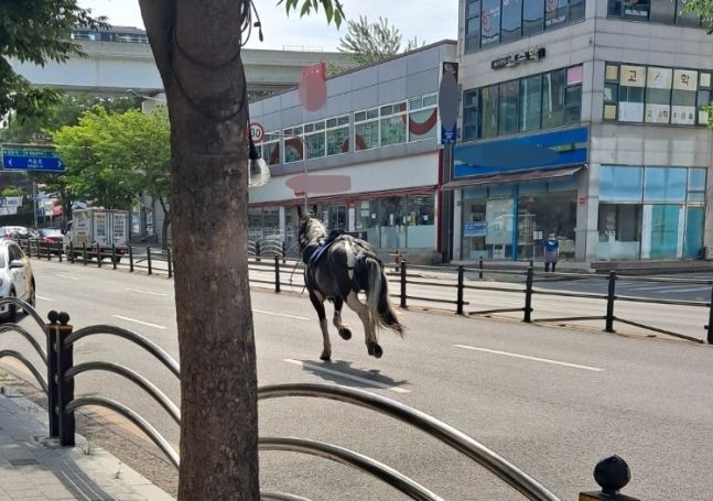 만인승마체험장 이미지