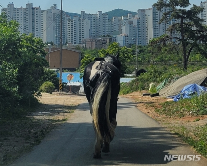만인승마체험장 이미지