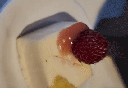 지난 1일 부산의 한 호텔 뷔페를 찾은 A씨는 조각 케이크 위를 기어다니는 벌레를 발견했다 (A씨 제공) © 뉴스1