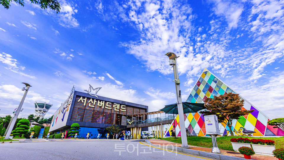 버드랜드 이미지