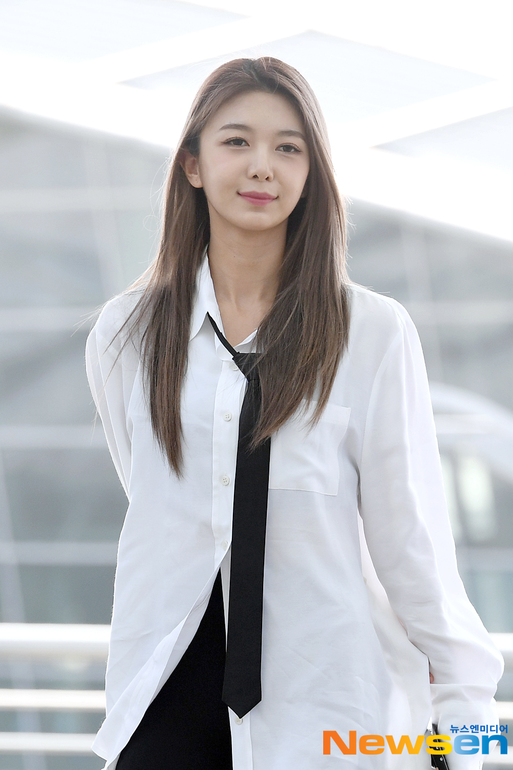 다미 이미지