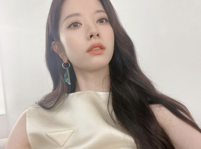 보나 이미지