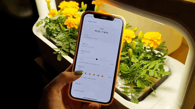 LG 씽큐앱에서 설정한 시간에 알아서 LED 조명이 꺼졌다. /사진=백유진 기자 byj@