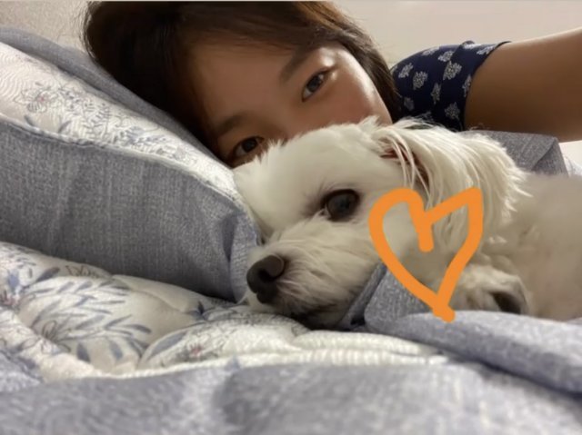 라이프파트너 이미지