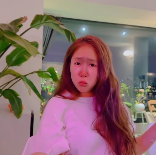 소유집 이미지