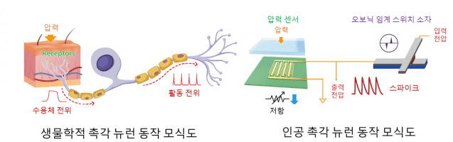 더뉴런 이미지