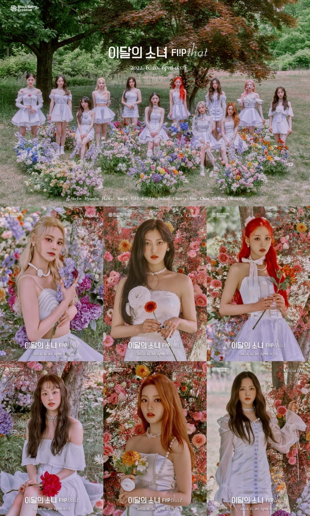 피운포토 이미지