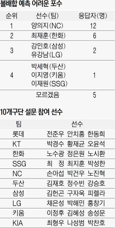 얄미운여우 이미지