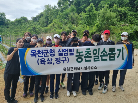 옥천군청 이미지