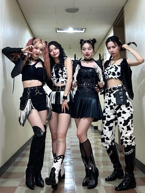 메이져 이미지
