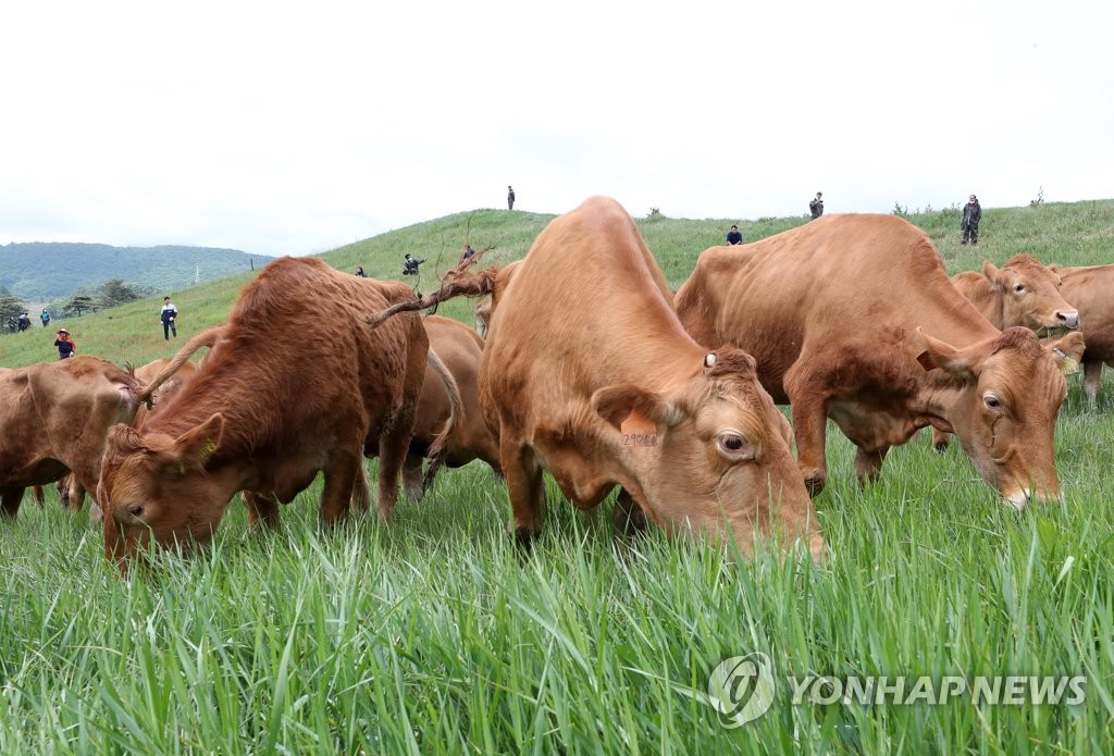 한우인력 이미지