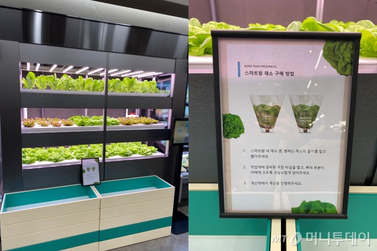 덕이미트 이미지