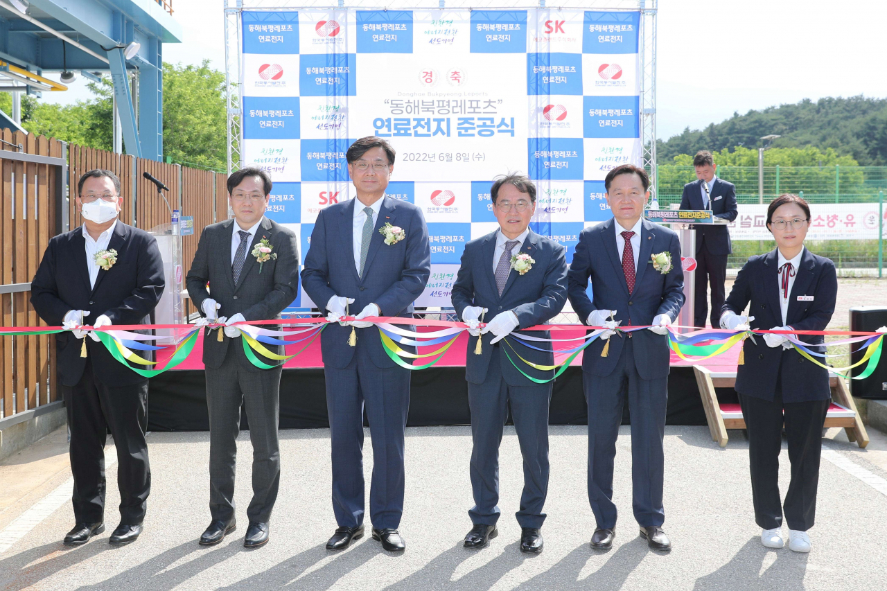 해럴드플랜트 이미지