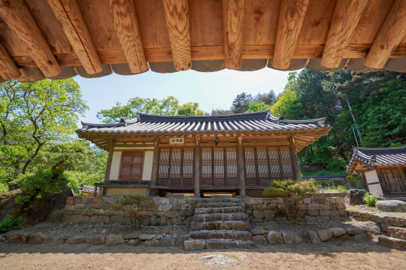 파도의숲 이미지