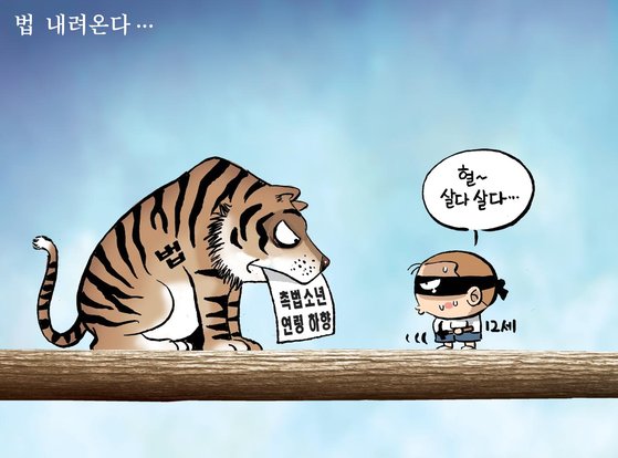 만평 이미지