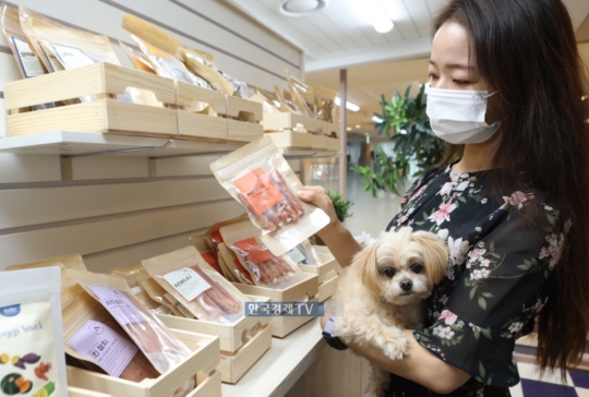 롯데백화점 일산점 이미지