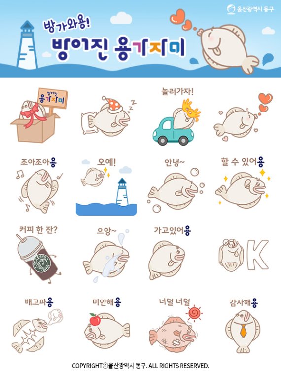 울산용가자미 이미지