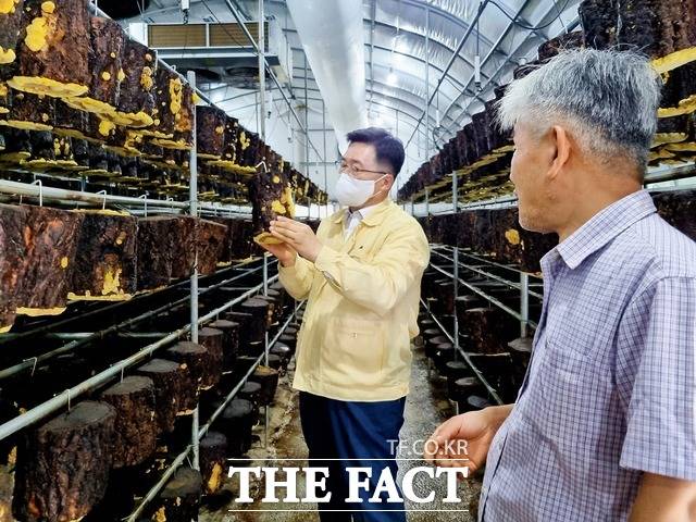 버섯놀이터변산농장 이미지