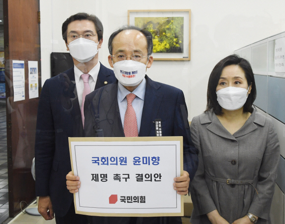 돈미향 이미지