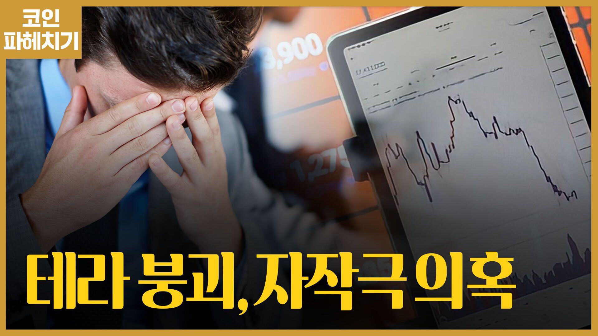 일파 이미지