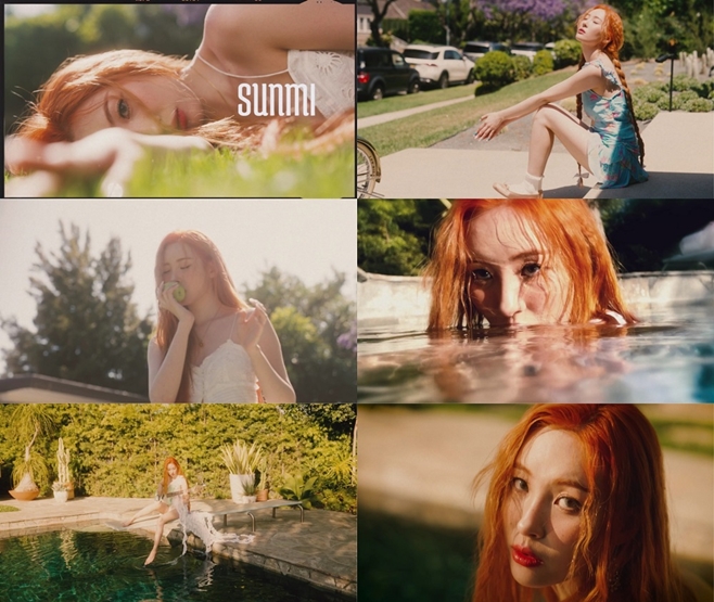 선미네 이미지