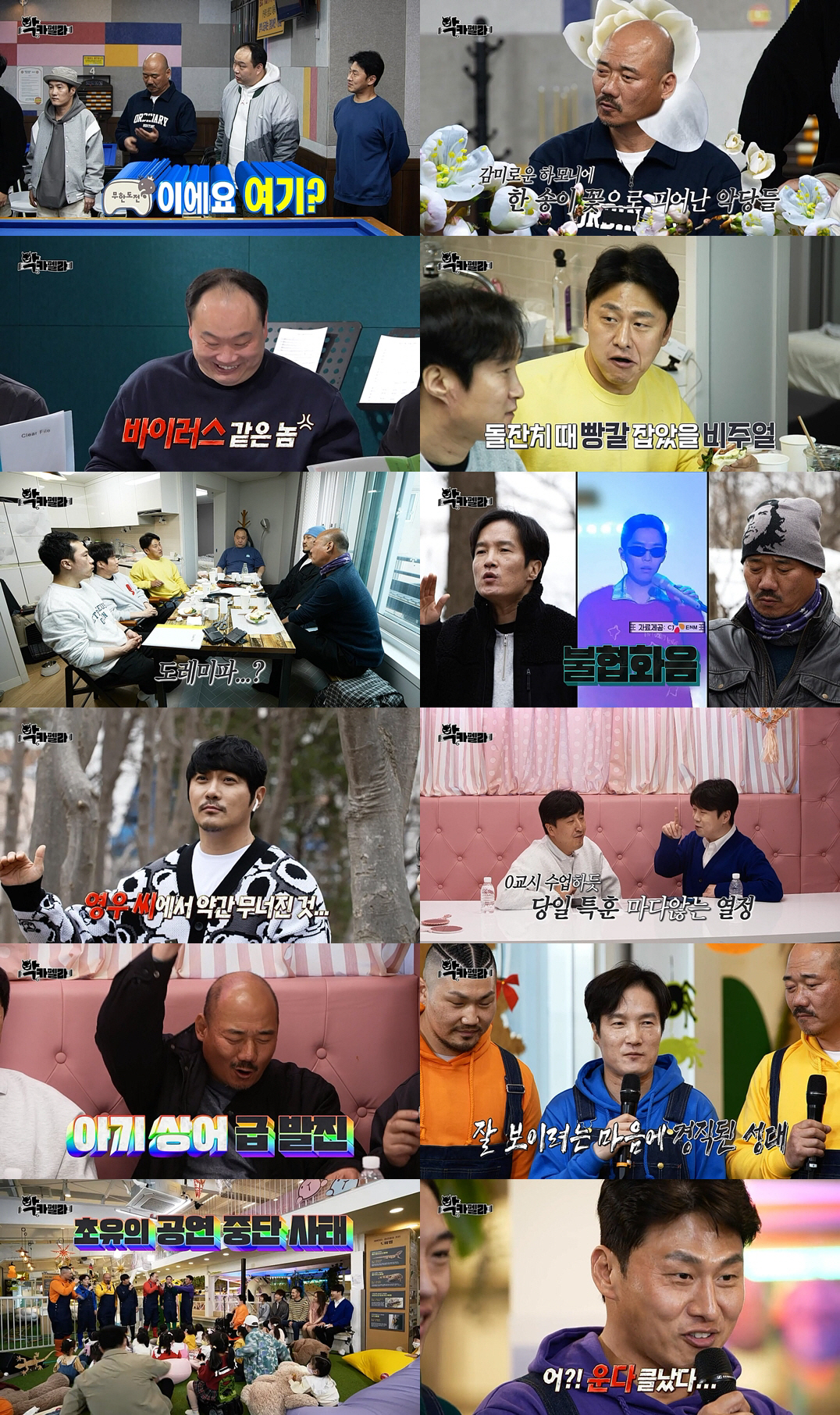 펠라 이미지