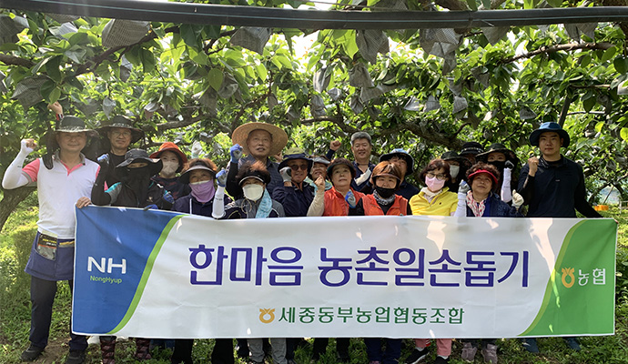 세종동부농업협동조합 이미지