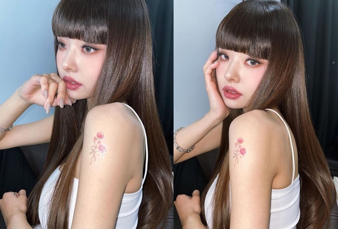 프리지아 이미지