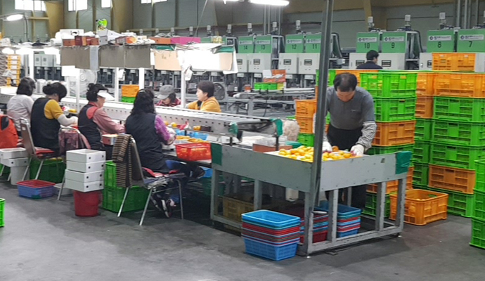 산지유통 이미지