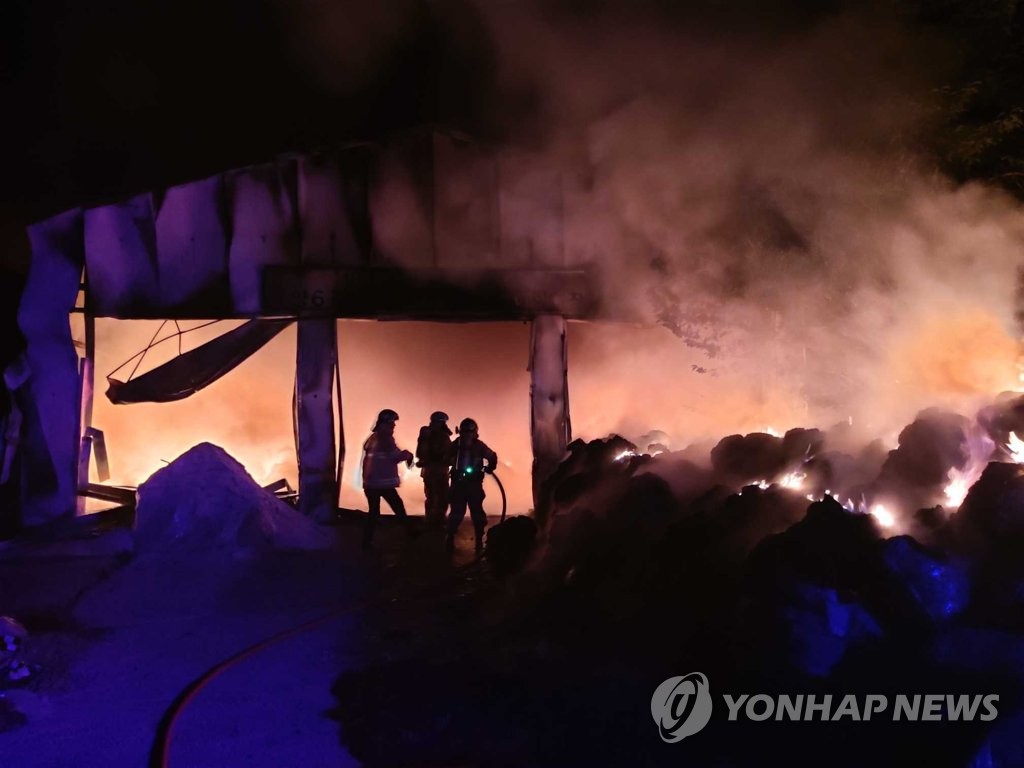 강원농산물 이미지