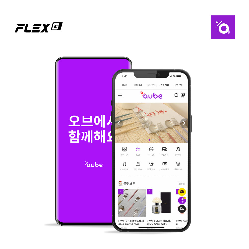 플렉스 이미지