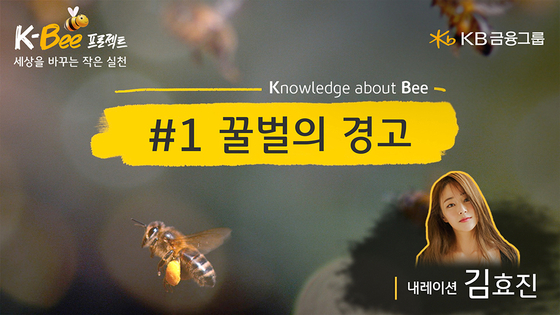 꿀벌 이미지