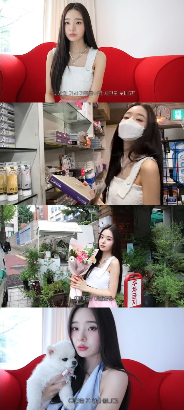 프리지아 이미지
