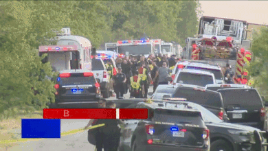 미국 텍사스주(州) 샌안토니오시에서 불법 이민자들로 추정되는 42명의 시신이 트레일러 트럭 안에서 발견돼 경찰이 조사하고 있다. [Eyewitness News ABC7NY 유튜브 캡처]