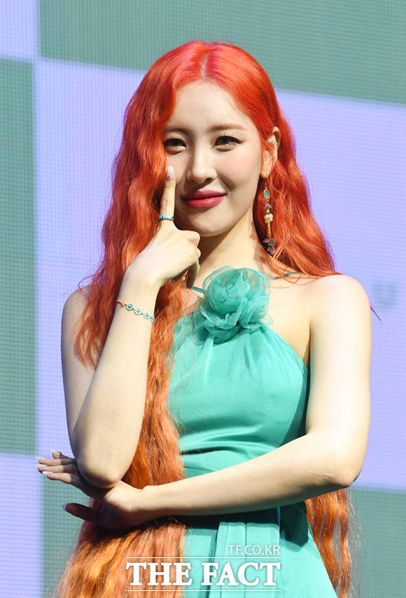 선미사진관 이미지