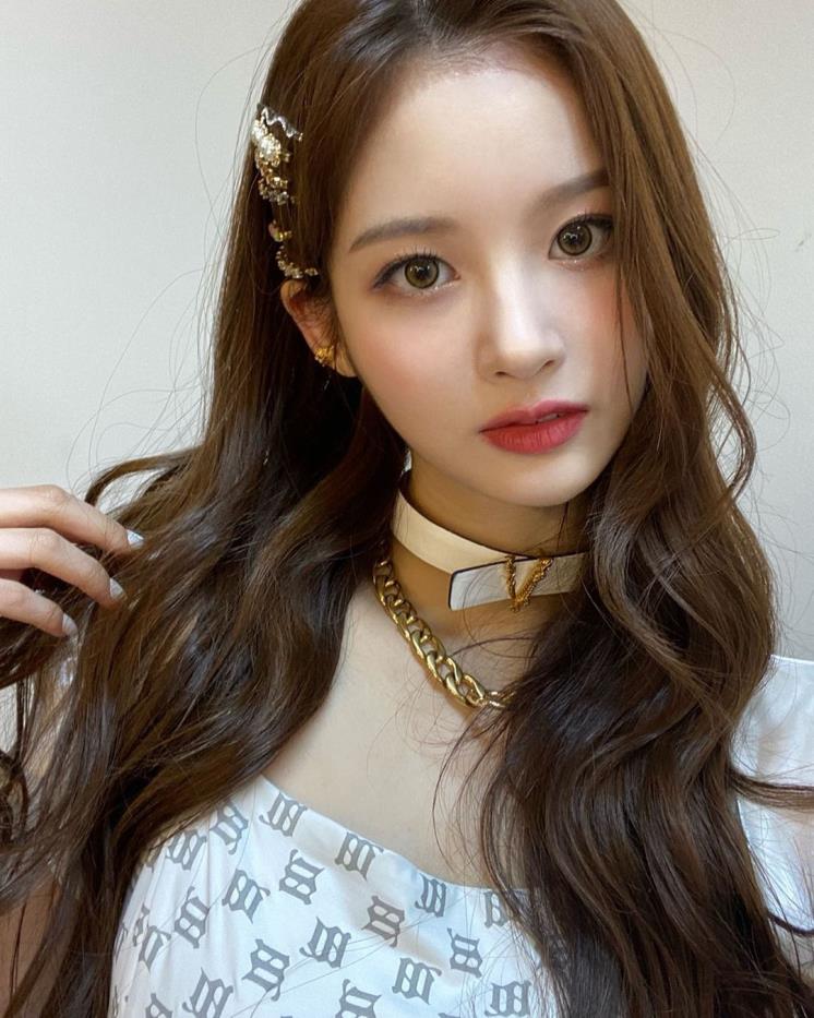 참헤어 이미지